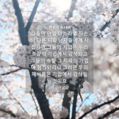 Picture 04 - 민수기 36:3 KOR - 그들이 만일 이스라엘 자손의 다른 - Bible Verse Picture