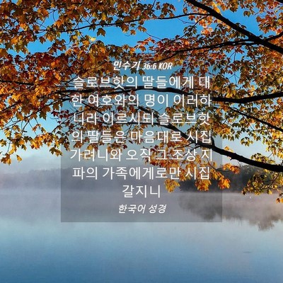 Picture 04 - 민수기 36:6 KOR - 슬로브핫의 딸들에게 대한 여호와의 - Bible Verse Picture