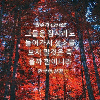 Picture 04 - 민수기 4:20 KOR - 그들은 잠시라도 들어가서 성소를 - Bible Verse Picture