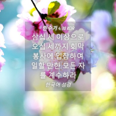 Picture 04 - 민수기 4:30 KOR - 삼십 세 이상으로 오십 세까지 회막 - Bible Verse Picture