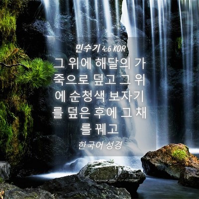 Picture 04 - 민수기 4:6 KOR - 그 위에 해달의 가죽으로 덮고 그 - Bible Verse Picture