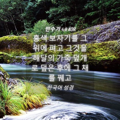 Picture 04 - 민수기 4:8 KOR - 홍색 보자기를 그 위에 펴고 그것을 - Bible Verse Picture