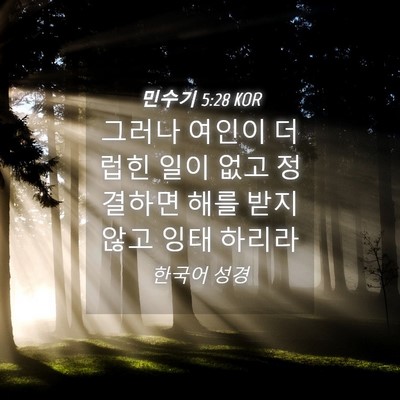 Picture 04 - 민수기 5:28 KOR - 그러나 여인이 더럽힌 일이 없고 - Bible Verse Picture