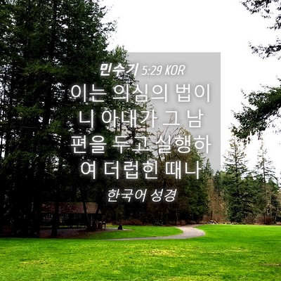 Picture 04 - 민수기 5:29 KOR - 이는 의심의 법이니 아내가 그 - Bible Verse Picture
