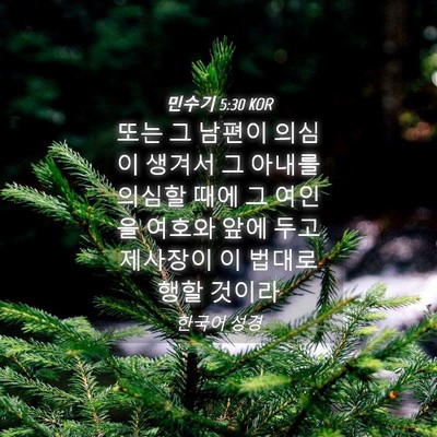 Picture 04 - 민수기 5:30 KOR - 또는 그 남편이 의심이 생겨서 그 - Bible Verse Picture