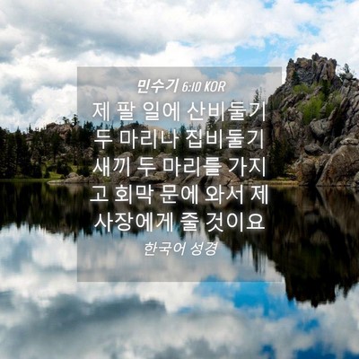 Picture 04 - 민수기 6:10 KOR - 제 팔 일에 산비둘기 두 마리나 - Bible Verse Picture