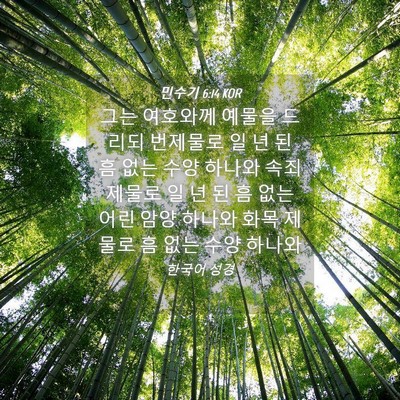 Picture 04 - 민수기 6:14 KOR - 그는 여호와께 예물을 드리되 - Bible Verse Picture