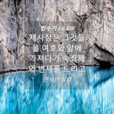 Picture 04 - 민수기 6:16 KOR - 제사장은 그것들을 여호와 앞에 - Bible Verse Picture