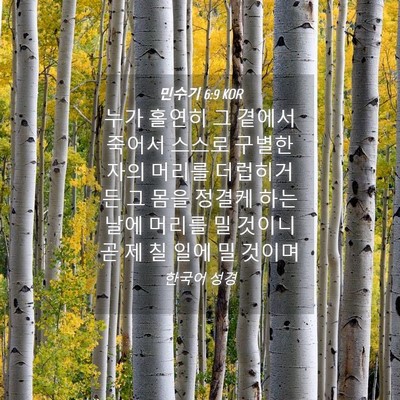 Picture 04 - 민수기 6:9 KOR - 누가 홀연히 그 곁에서 죽어서 - Bible Verse Picture