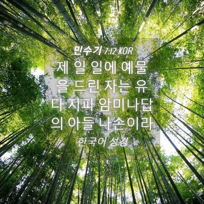 Picture 04 - 민수기 7:12 KOR - 제 일 일에 예물을 드린 자는 유다 - Bible Verse Picture