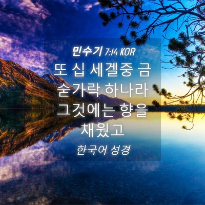 Picture 04 - 민수기 7:14 KOR - 또 십 세겔중 금숟가락 하나라 - Bible Verse Picture