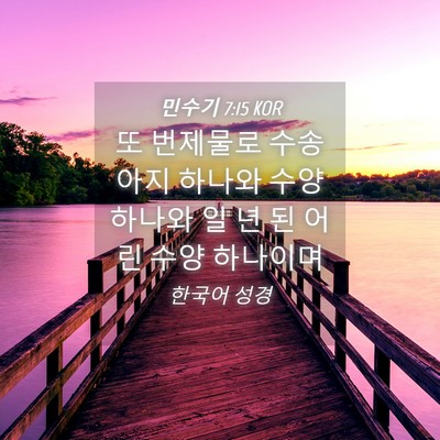 Picture 04 - 민수기 7:15 KOR - 또 번제물로 수송아지 하나와 수양 - Bible Verse Picture