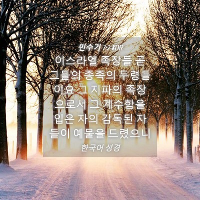 Picture 04 - 민수기 7:2 KOR - 이스라엘 족장들 곧 그들의 종족의 - Bible Verse Picture