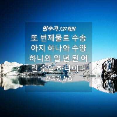 Picture 04 - 민수기 7:27 KOR - 또 번제물로 수송아지 하나와 수양 - Bible Verse Picture