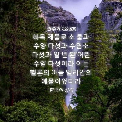 Picture 04 - 민수기 7:29 KOR - 화목 제물로 소 둘과 수양 다섯과 - Bible Verse Picture