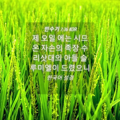 Picture 04 - 민수기 7:36 KOR - 제 오일 에는 시므온 자손의 족장 - Bible Verse Picture