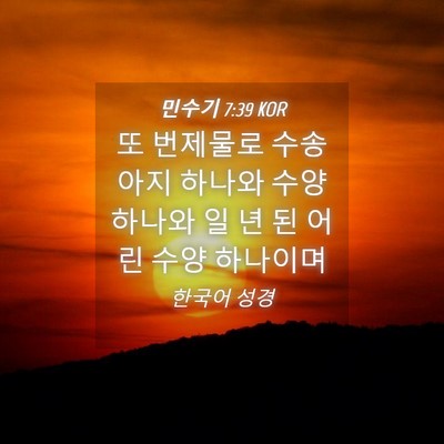 Picture 04 - 민수기 7:39 KOR - 또 번제물로 수송아지 하나와 수양 - Bible Verse Picture