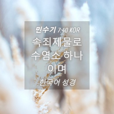 Picture 04 - 민수기 7:40 KOR - 속죄제물로 수염소 - Bible Verse Picture