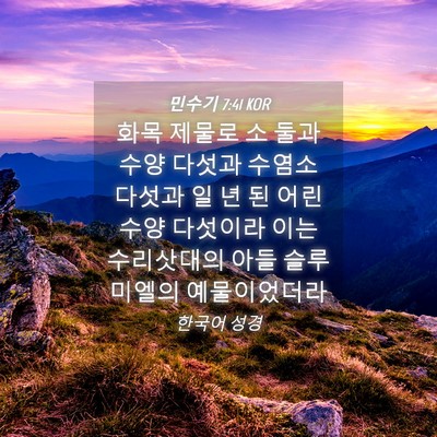 Picture 04 - 민수기 7:41 KOR - 화목 제물로 소 둘과 수양 다섯과 - Bible Verse Picture