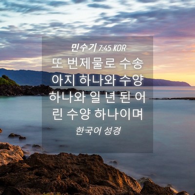 Picture 04 - 민수기 7:45 KOR - 또 번제물로 수송아지 하나와 수양 - Bible Verse Picture
