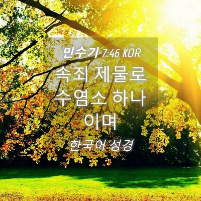 Picture 04 - 민수기 7:46 KOR - 속죄 제물로 수염소 - Bible Verse Picture