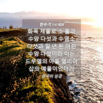 Picture 04 - 민수기 7:47 KOR - 화목 제물로 소 둘과 수양 다섯과 - Bible Verse Picture
