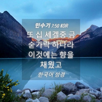 Picture 04 - 민수기 7:50 KOR - 또 십 세겔중 금숟가락 하나라 - Bible Verse Picture
