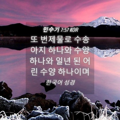 Picture 04 - 민수기 7:57 KOR - 또 번제물로 수송아지 하나와 수양 - Bible Verse Picture