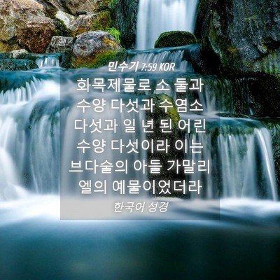 Picture 04 - 민수기 7:59 KOR - 화목제물로 소 둘과 수양 다섯과 - Bible Verse Picture