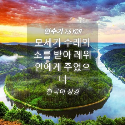 Picture 04 - 민수기 7:6 KOR - 모세가 수레와 소를 받아 레위인에게 - Bible Verse Picture