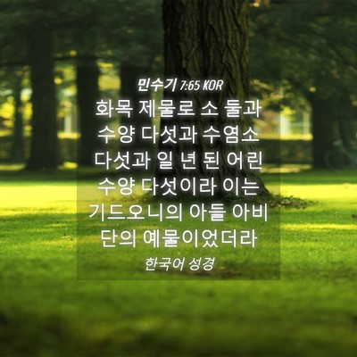 Picture 04 - 민수기 7:65 KOR - 화목 제물로 소 둘과 수양 다섯과 - Bible Verse Picture