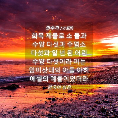 Picture 04 - 민수기 7:71 KOR - 화목 제물로 소 둘과 수양 다섯과 - Bible Verse Picture