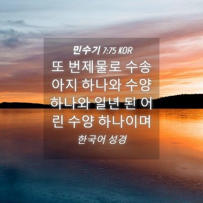 Picture 04 - 민수기 7:75 KOR - 또 번제물로 수송아지 하나와 수양 - Bible Verse Picture