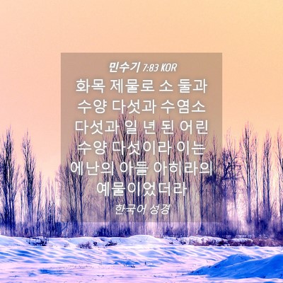 Picture 04 - 민수기 7:83 KOR - 화목 제물로 소 둘과 수양 다섯과 - Bible Verse Picture