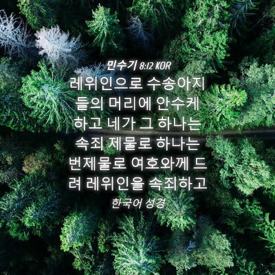 Picture 04 - 민수기 8:12 KOR - 레위인으로 수송아지들의 머리에 - Bible Verse Picture