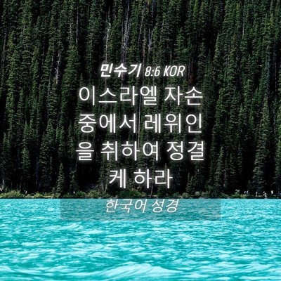 Picture 04 - 민수기 8:6 KOR - 이스라엘 자손 중에서 레위인을 - Bible Verse Picture