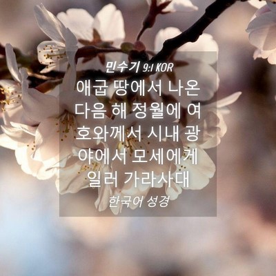 Picture 04 - 민수기 9:1 KOR - 애굽 땅에서 나온 다음 해 정월에 - Bible Verse Picture