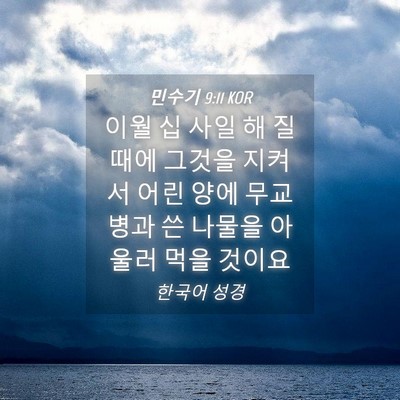 Picture 04 - 민수기 9:11 KOR - 이월 십 사일 해 질 때에 그것을 - Bible Verse Picture