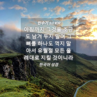 Picture 04 - 민수기 9:12 KOR - 아침까지 그것을 조금도 남겨 두지 - Bible Verse Picture