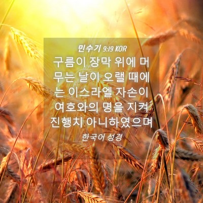 Picture 04 - 민수기 9:19 KOR - 구름이 장막 위에 머무는 날이 오랠 - Bible Verse Picture