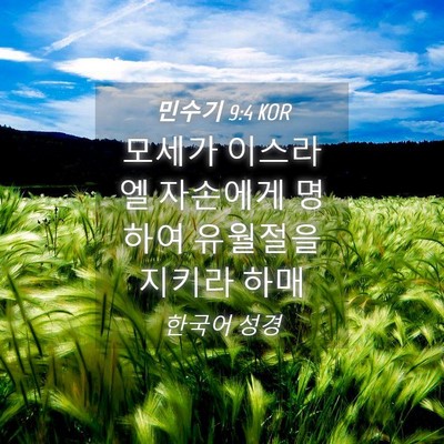 Picture 04 - 민수기 9:4 KOR - 모세가 이스라엘 자손에게 명하여 - Bible Verse Picture