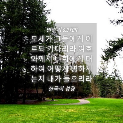 Picture 04 - 민수기 9:8 KOR - 모세가 그들에게 이르되 기다리라 - Bible Verse Picture