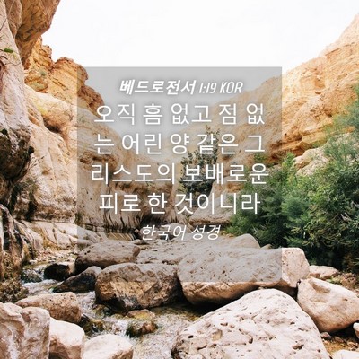 Picture 04 - 베드로전서 1:19 KOR - 오직 흠 없고 점 없는 어린 양 같은 - Bible Verse Picture