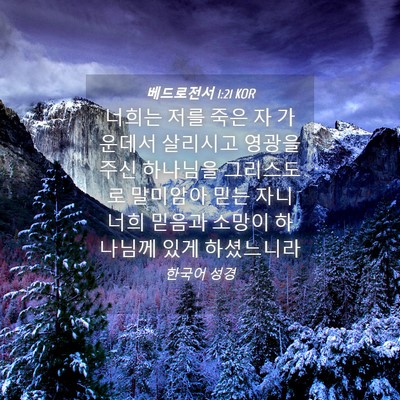 Picture 04 - 베드로전서 1:21 KOR - 너희는 저를 죽은 자 가운데서 - Bible Verse Picture