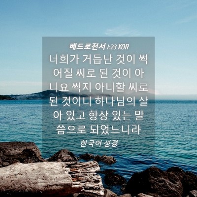 Picture 04 - 베드로전서 1:23 KOR - 너희가 거듭난 것이 썩어질 씨로 된 - Bible Verse Picture