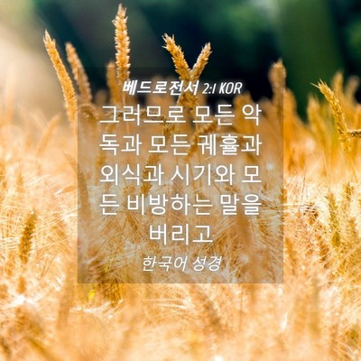 Picture 04 - 베드로전서 2:1 KOR - 그러므로 모든 악독과 모든 궤휼과 - Bible Verse Picture