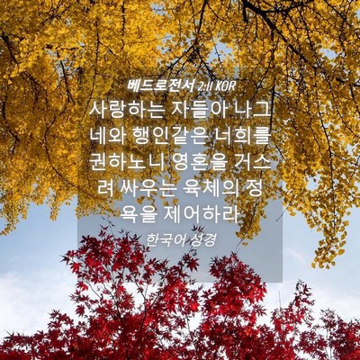 Picture 04 - 베드로전서 2:11 KOR - 사랑하는 자들아 나그네와 행인같은 - Bible Verse Picture