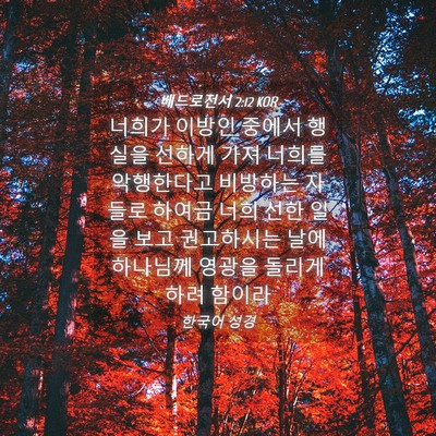 Picture 04 - 베드로전서 2:12 KOR - 너희가 이방인 중에서 행실을 선하게 - Bible Verse Picture