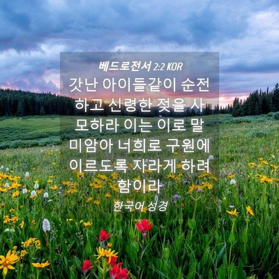Picture 04 - 베드로전서 2:2 KOR - 갓난 아이들같이 순전하고 신령한 - Bible Verse Picture