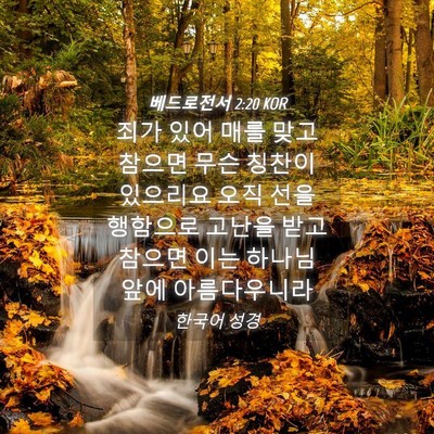 Picture 04 - 베드로전서 2:20 KOR - 죄가 있어 매를 맞고 참으면 무슨 - Bible Verse Picture
